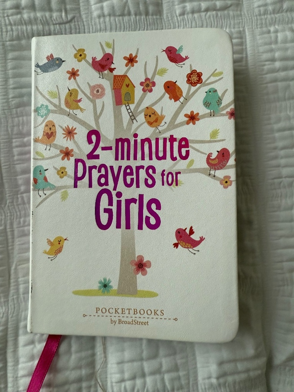2-Minute Prayers for Girls NWT